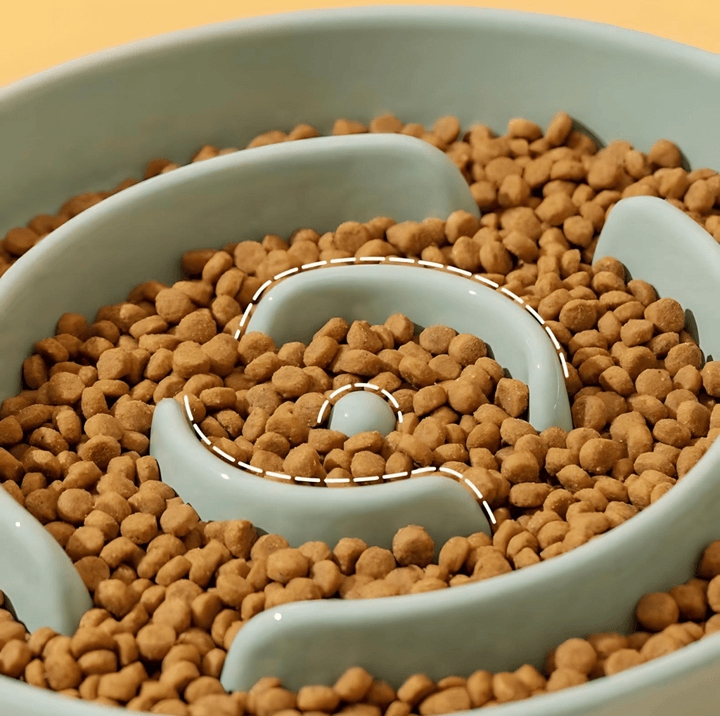 Pet slow feeder ceramic bowl, anti-gulping dog cat food dish for healthy eating.