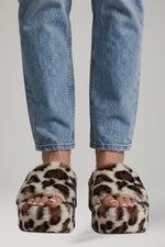 Leopard White