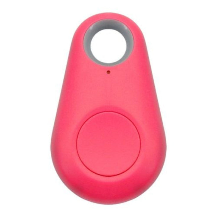 Close-up of a sleek, waterproof pet GPS tracker & activity monitor tag, attached to a pet's collar.