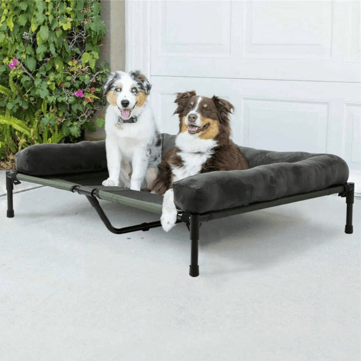 Plush bolster dog bed with soft, washable cover, elevated design for large dogs. Orthopedic pet furniture for comfort.