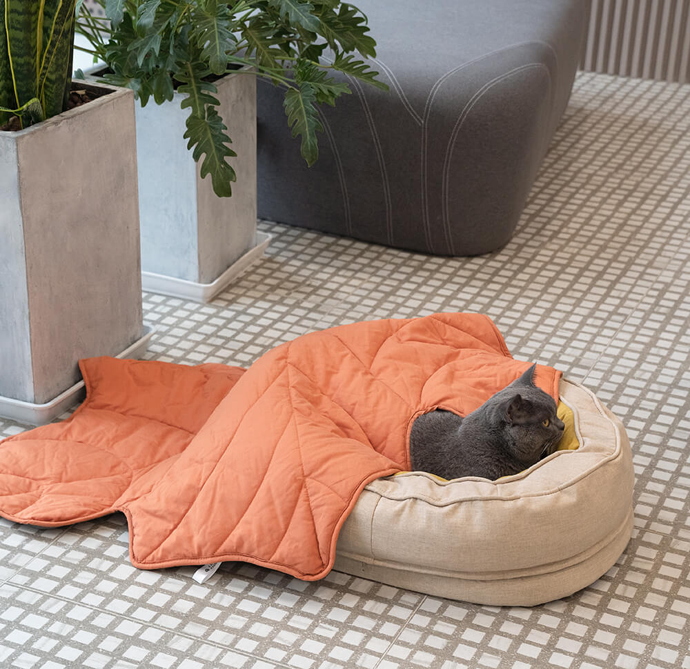Orthopedic Donut Dog Bed with Anti - Slip and Waterproof Features - Lexians