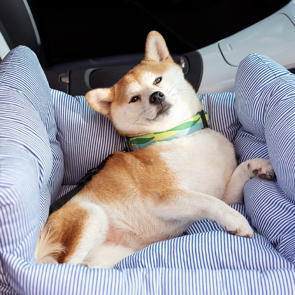 Portable Pet Booster Dog Car Seat Bed with Safety Harness - Lexians