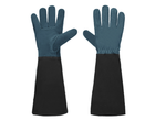 Blue-Black