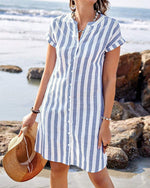 Blue / White